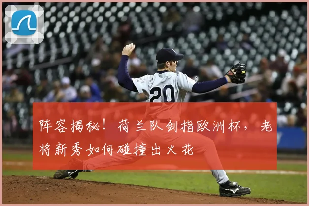 阵容揭秘!荷兰队剑指欧洲杯,老将新秀如何碰撞出火花