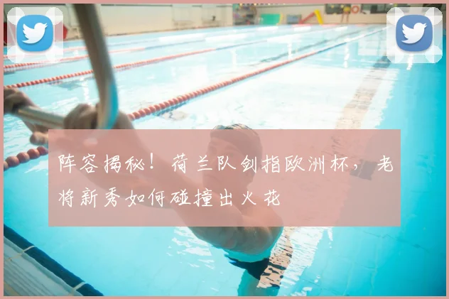 阵容揭秘！荷兰队剑指欧洲杯，老将新秀如何碰撞出火花
